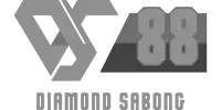 Havale logo